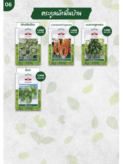 ผักซอง ศรแดง 30บ ตระกูลผักพื้นบ้าน 2