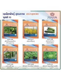 ผักซอง จุยเจีย ชุดที่ 6