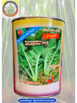 ผักกาดเชียว ชุนฉ่าย ตราต้นไผ่