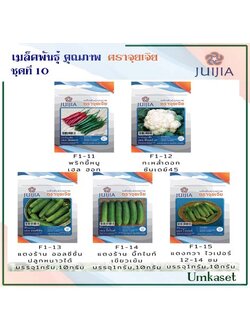 ผักซอง จุยเจีย ชุดที่ 10