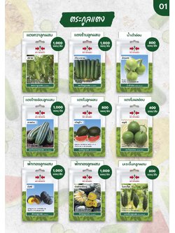 ผักซอง ศรแดง 30 บ ตระกูลแตง1