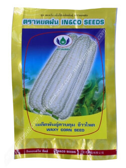 ข้าวโพดข้าวเหนียวหวาน PU103 ตราหยดฝน 1 กิโล