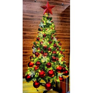 แคตตาล๊อคคริสต์มาสพร้อมราคา