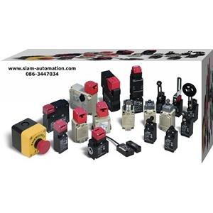 Safety Switch/Door Interlock Switches/เซฟตี้สวิทช์/