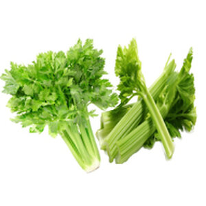 คื่นช่าย + เซเลอรี่