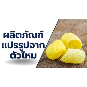 ผลิตภัณฑ์แปรรูปจากตัวไหม