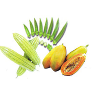 มะระ/กระเจี๊ยบ/มะละกอ