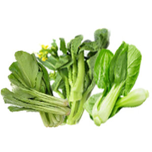 ผักกวางตุ้ง