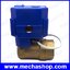 มอเตอร์วาล์วไฟฟ้า เปิดปิดวาล์วไฟฟ้าแบบมอเตอร์ 1 นิ้ว CWX 25S Motorized Valve Electrical Ball Valve ทองเหลือง DN25 DC12V 2Way CR01 2 สาย