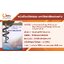เภสัชบำบัดขั้นพื้นฐานในโรคมะเร็ง Basic Pharmacotherapy in Cancer (พิมพ์ครั้งที่ 2)