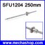 บอลสกรู SFU1204 250mm C7 ball screw with 1204 flange single ball nut BK/BF10 end machined (สินค้า Pre-Order)