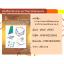 การหาค่าเหมาะที่สุดของระบบทางวิศวกรรมเครืองกล เล่ม 2