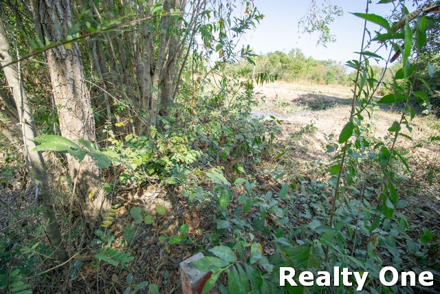 ขาย ที่ดิน ถมแล้ว ติดถนนลาดยาง ต.ศรีนาวา อ.เมือง นครนายก