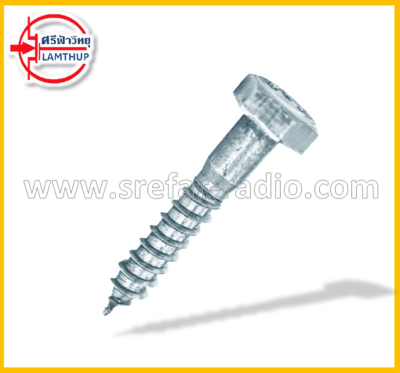 น้อตเกลียวปล่อย หัวบล็อก 3/8"x2.1/2" ขันไม้