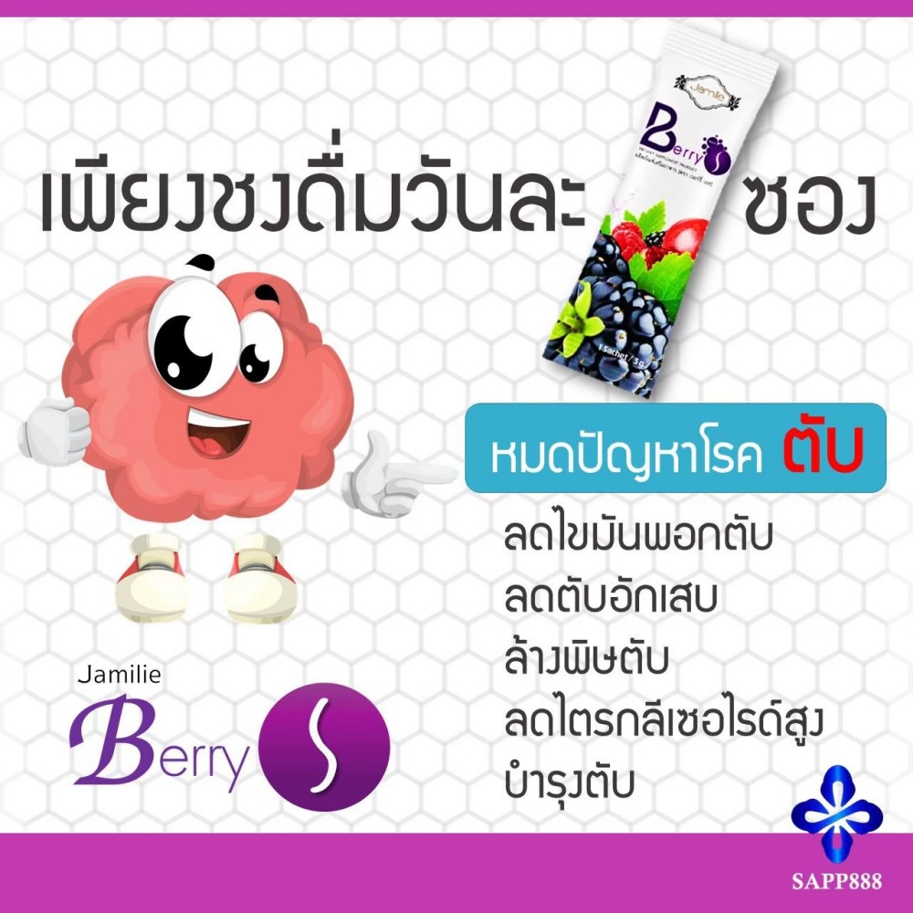 เบอร์รี่ เอส Berry S ล้างสารพิษ สารตกค้าง ในเลือด