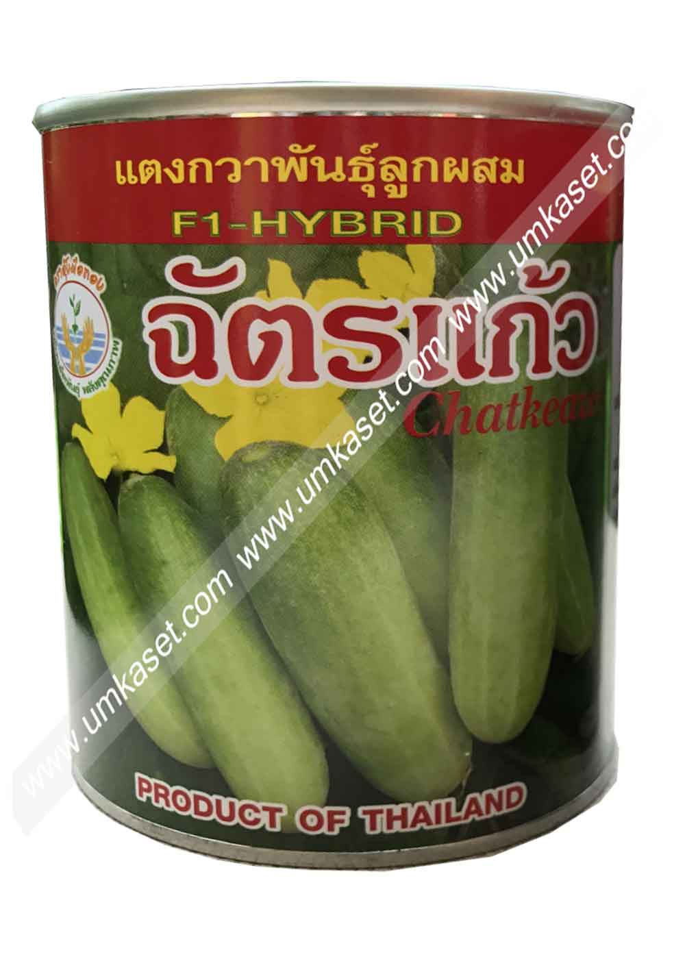 แตงกวาฉัตรแก้ว