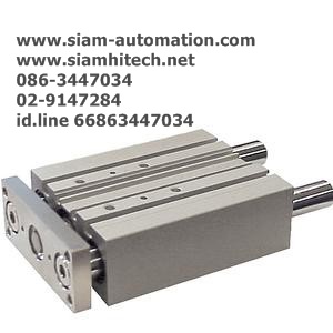 Cylinder SMC MGPM20-100Z