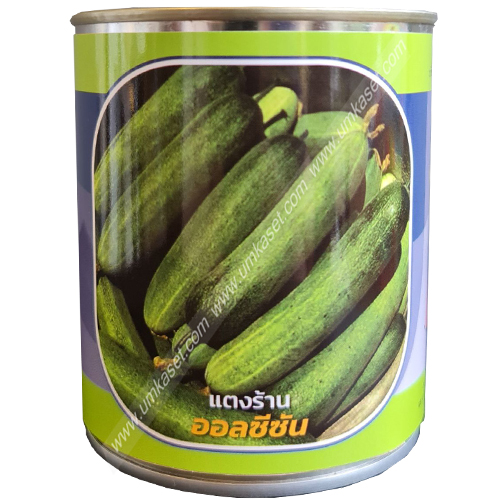 แตงร้านลูกผสม ออลซีซั่น ตราลูกโลก