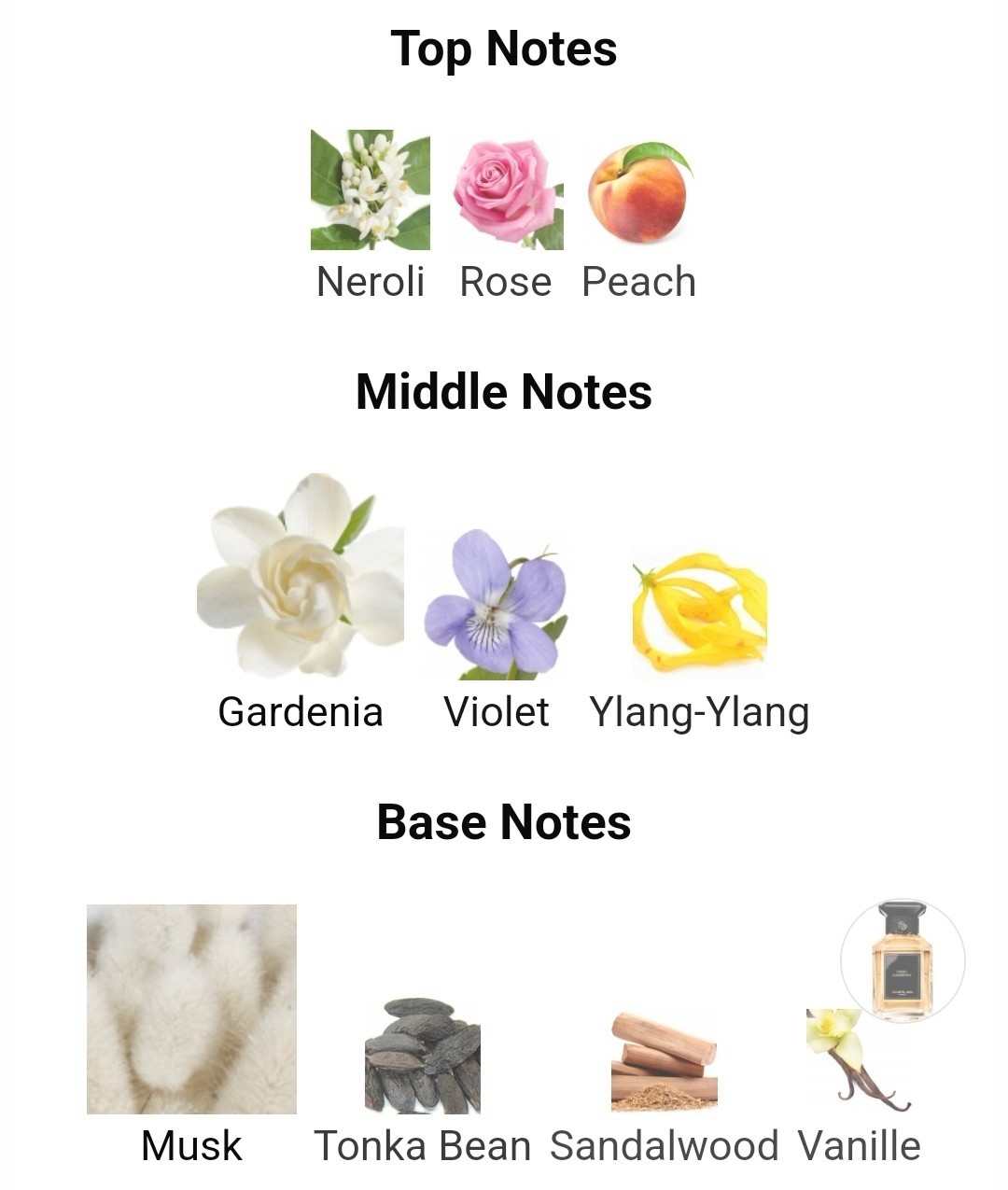 น้ำหอมแท้แบ่งขาย Guerlain Cruel Gardenia for women and men 💕Travel Size #แบบทดลอง