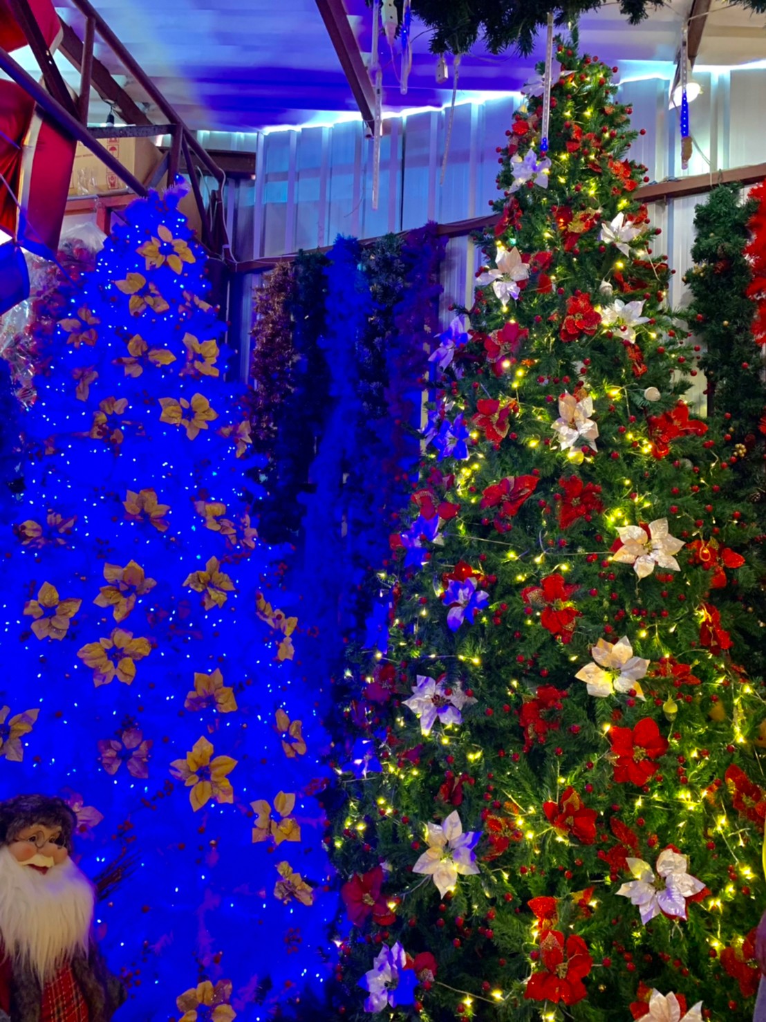 รวบรวมต้นคริสต์มาสปลอมมาขายในราคาถูก