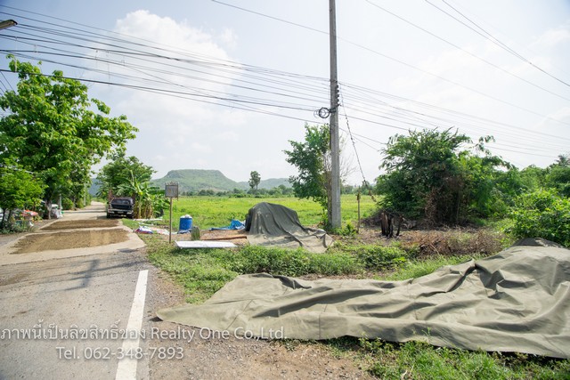 ขาย ที่ดิน นส.3 ก. แปลงสวย ติด ถ.สุรนารายณ์ ชัยบาดาล ลพบุรี