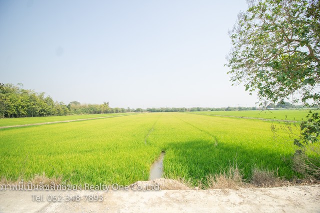 ขาย ที่ดิน ติดถนนคอนกรีต ใกล้ รพ.สามชุก สุพรรณบุรี