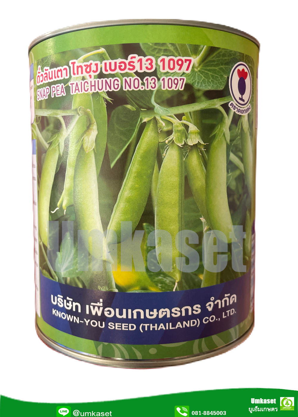 ถั่วลันเตาหวาน ไทซุงเบอร์ 13 1097 เพื่อนเกษตรกร (500 กรัม)