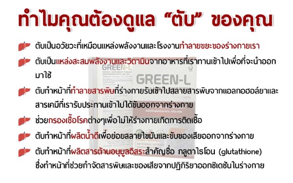 GREEN L กรีนแอล ผลิตภัณฑ์บำรุงตับ (อย. : 10-1-15456-1-0018) - ScentandHerbs Shop : Inspired by LnwShop.com