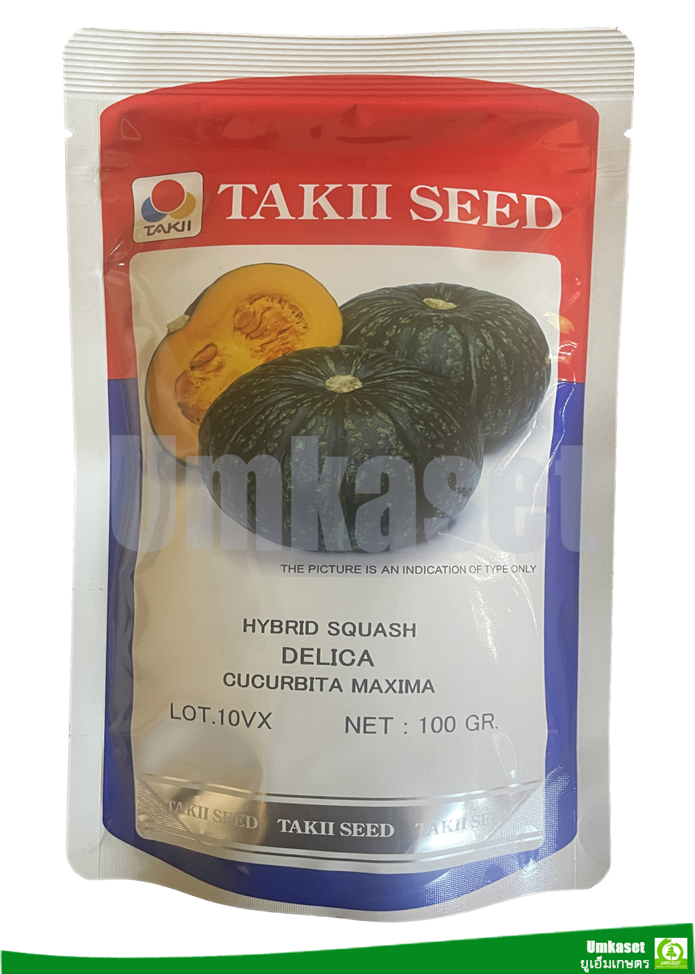 ฟักทองญี่ปุ่น/ สควอทช ดีไลก้า ( HYbrid Squash DELICA) 100 กรัม