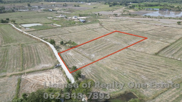 ขายที่ดิน ติดถนนคอนกรีต ต.เกาะหวาย อ.ปากพลี จ.นครนายก ราคาไม่แพง