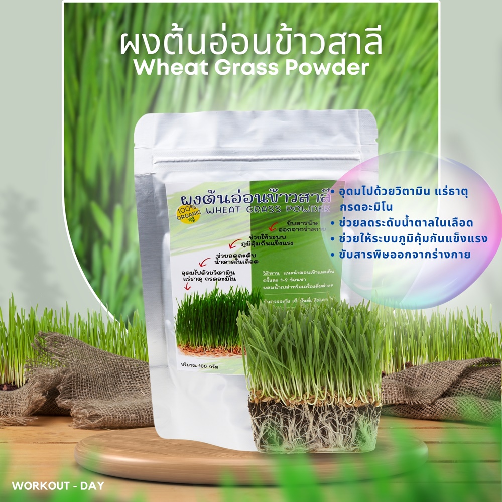 ผงต้นอ่อนข้าวสาลี (Wheat grass)