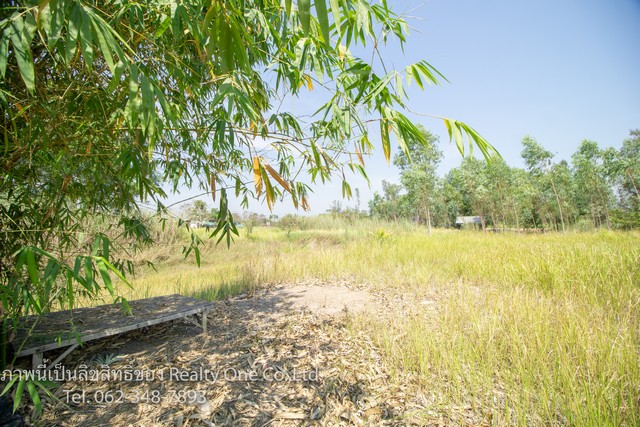 ขาย ที่ดิน แปลงสวย คลอง 15 ถนนตลาดต้นไม้ รังสิต นครนายก