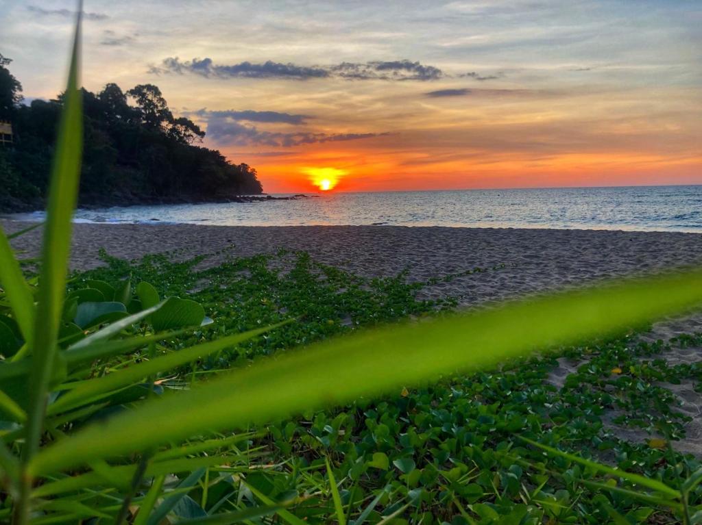 SOLD OUT📍 โรงแรมหรูติดทะเล Khaolak Palm Beach Hotel & Resort จ.พังงา ราคาถูก 🏖️✨