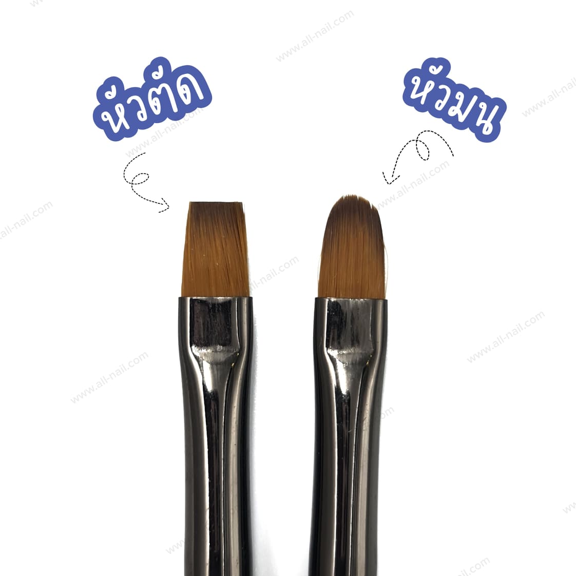 พู่กันทาเจล พู่กันต่อเจล ทาสีเจล ⍟ DINGXI ของแท้ ⍟