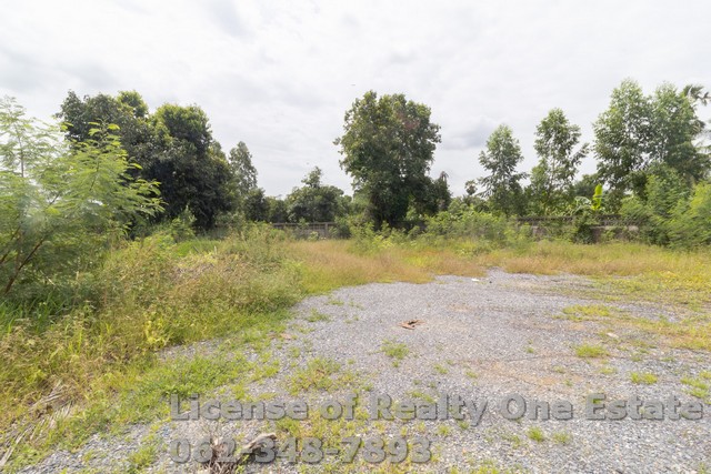 ขายที่ดินแปลงมุม 1 ไร่ ถมแล้ว ติดถนนเลียบคลอง 9 ลำลูกกา