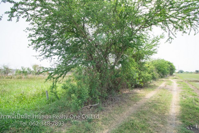 ขาย ที่ดิน ถ.บางบัวทอง-สุพรรณบุรี (340) ราคาถูก เท่าประเมินกรมที่ดิน