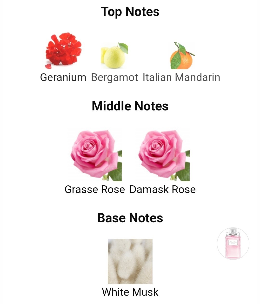 น้ำหอมแท้แบ่งขาย Christian Dior Miss Dior Rose N'Roses 💕Travel Size แบบทดลอง