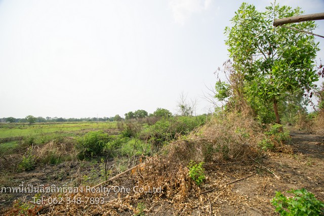 ขาย ที่ดิน ต.บ้านพร้าว อ.บ้านนา จ.นครนายก ใกล้ ถ.รังสิต-นครนายก