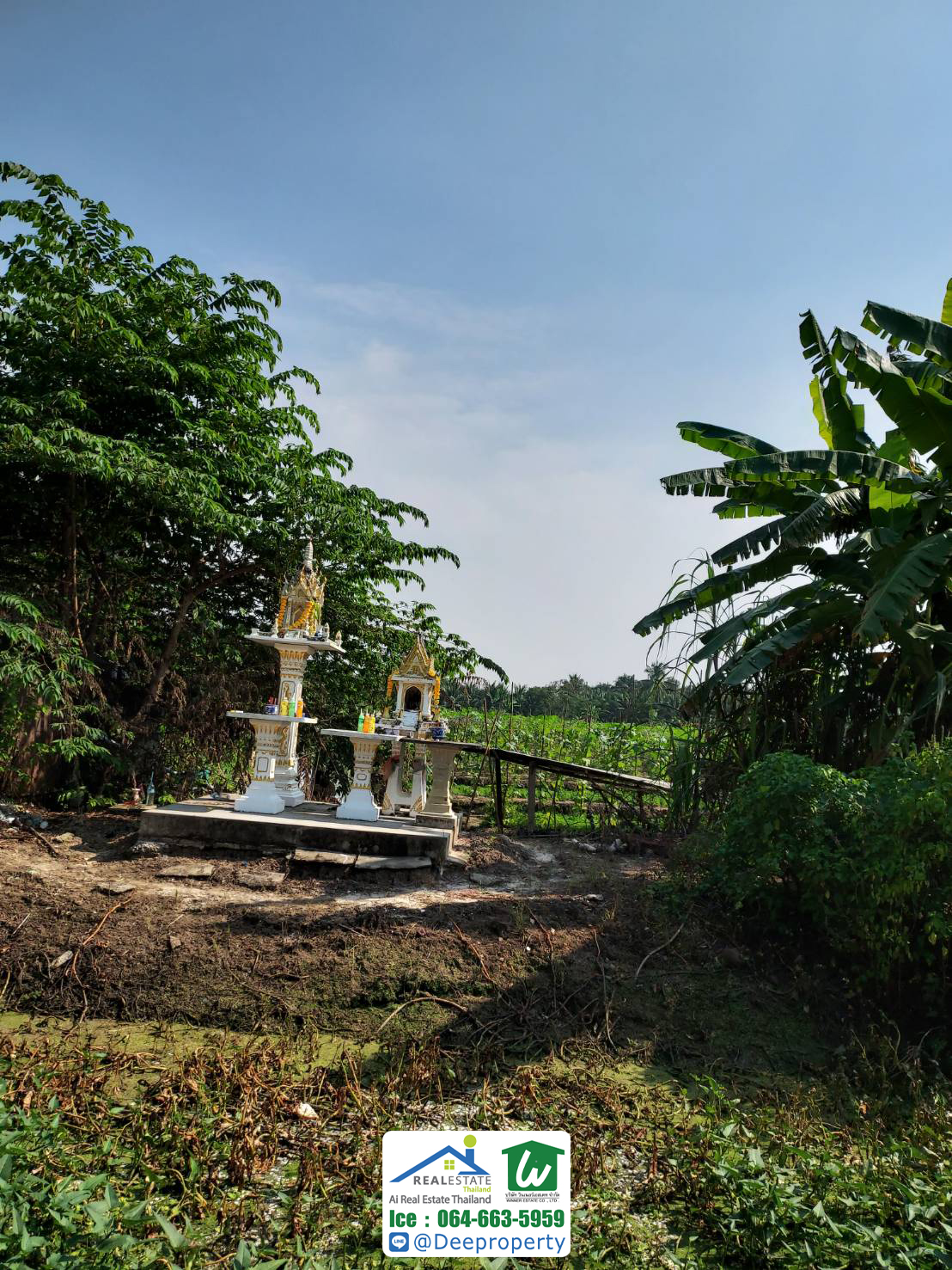 🏡 ขายที่ดินเปล่า ราชบุรี 6-2-96.6 ไร่ (2,696.6 ตรว) อ. ดำเนินสะดวก จ.ราชบุรี ทำการเกษตร ทำสวน ราคาถูก!