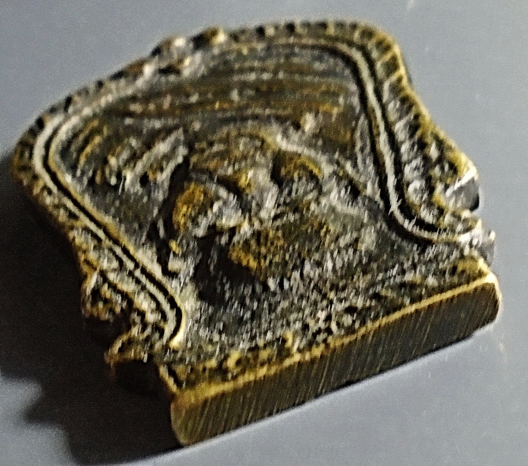 เหรียญหล่อหน้าเสือ หลวงพ่อน้อย วัดธรรมศาลา ปี 12