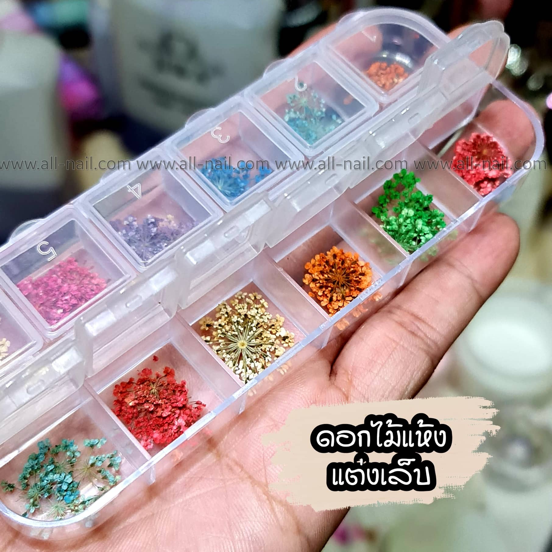 ดอกไม้แห้ง ดอกไม้แต่งเล็บ 1กล่อง/12สี