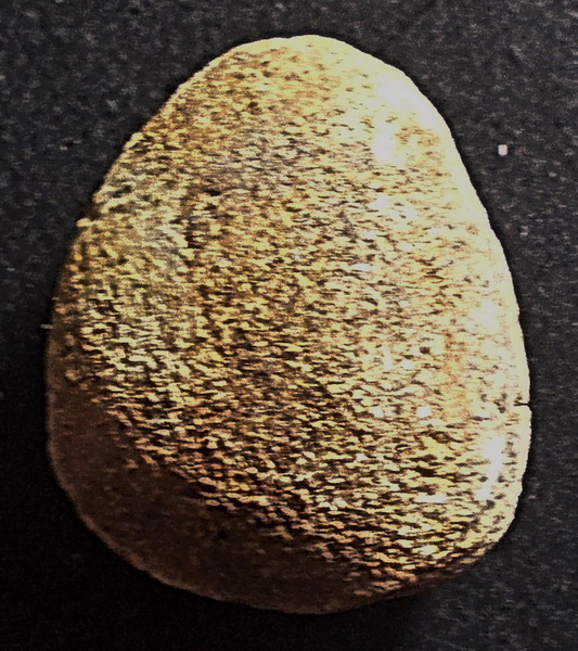 พระกรุอัมพวา เนื้อผงน้ำมัน พิมพ์ปิดตา