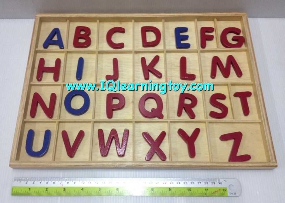 MT-The Moveable Alphabet L ตัวอักษรเคลื่อนที่ ABC ตัวพิมพ์ใหญ่ ขนาดมาตรฐาน ฝึกสมองของเด็กๆให้จดจำคำศัพท์เพิ่มได้ด้วยค่ะ ส่งฟรี