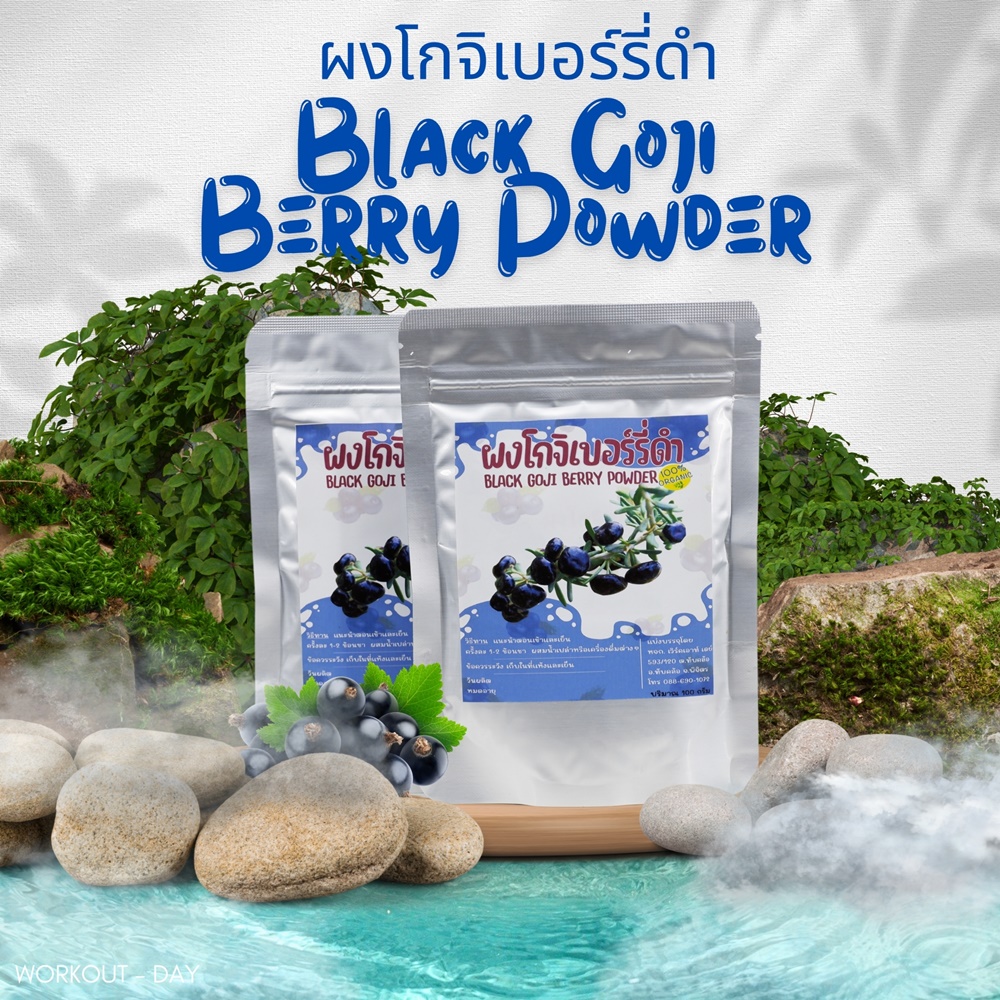 ผงโกจิเบอร์รี่ สีดำ Black Goji Berry