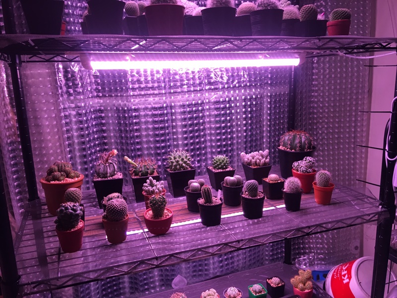 หลอดไฟปลูกต้นไม้ LED T8 35W ยาว 90CM 144 LED Grow Light AC 220V