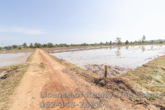 ขายที่ดิน ต.ศรีนาวา อ.เมือง จ.นครนายก เนื้อที่ 5 ไร่ ราคาไม่แพง