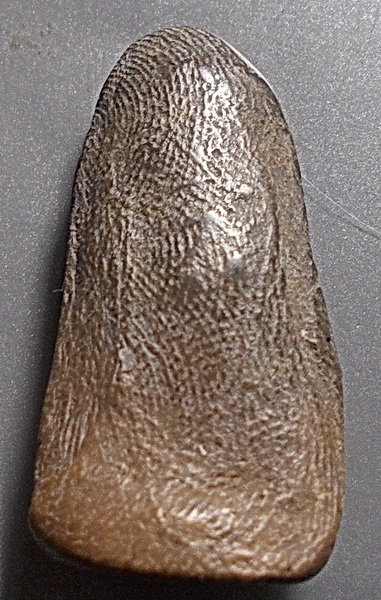 พระรอด เนื้อดิน กรุวัดอุโมงค์ ลำพูน