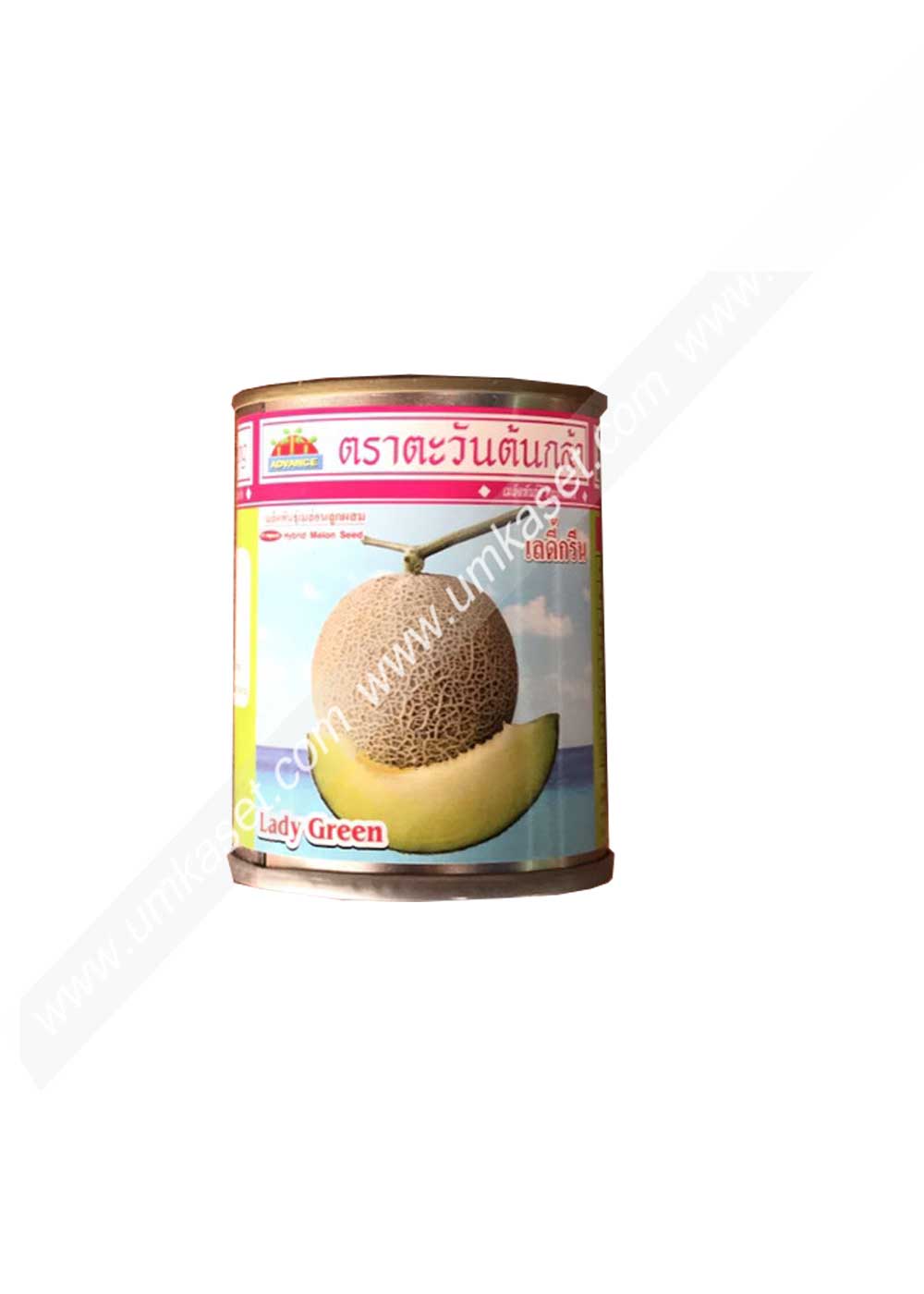 แคนตาลูป/เมล่อน เลดี้กรีน 20 กรัม