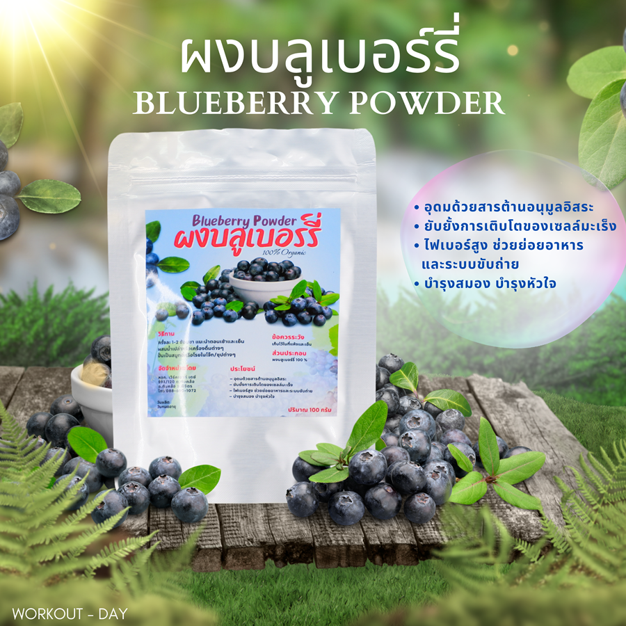 ผงบลูเบอรี่ Blueberry powder