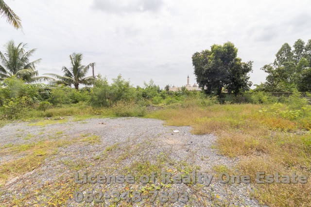 ขายที่ดินแปลงมุม 1 ไร่ ถมแล้ว ติดถนนเลียบคลอง 9 ลำลูกกา